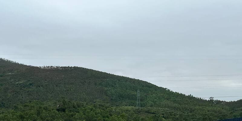 Núi đồi Quy Nhơn