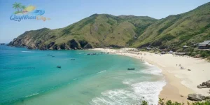 bãi biển kỳ co
