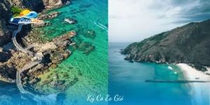 Kỳ Co Eo Gió