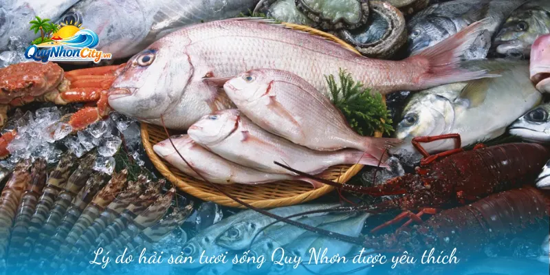 Hải Sản Tươi Ngon Quy Nhơn – Thiên Đường Ẩm Thực Biển Hấp Dẫn 1 Lý do hải sản tươi sống Quy Nhơn được yêu thích