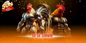 đá gà sunwin
