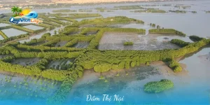 Đầm Thị Nại