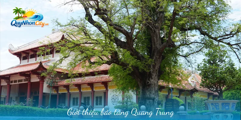 Bảo Tàng Quang Trung – Điểm Đến Lịch Sử Nổi Tiếng Tại Bình Định 1 Thông tin giới thiệu cơ bản về bảo tàng Quang Trung