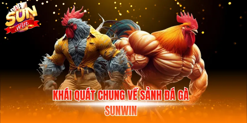 Đá Gà - Cá Cược Hấp Dẫn, Cơ Hội Làm Giàu Nhanh 1 Khái quát chung về sảnh đá gà Sunwin