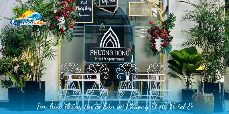 Phương Đông Hotel & Apartment – Lựa Chọn Nơi Ở Tiện Nghi 1 Tìm hiểu thông tin cơ bản về Phuong Dong Hotel & Apartment