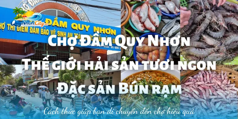 Chợ Đầm Quy Nhơn – Địa Điểm Mua Sắm Hải Sản Tươi Sống Bình Định 1 Cách thức giúp bạn di chuyển đến chợ hiệu quả
