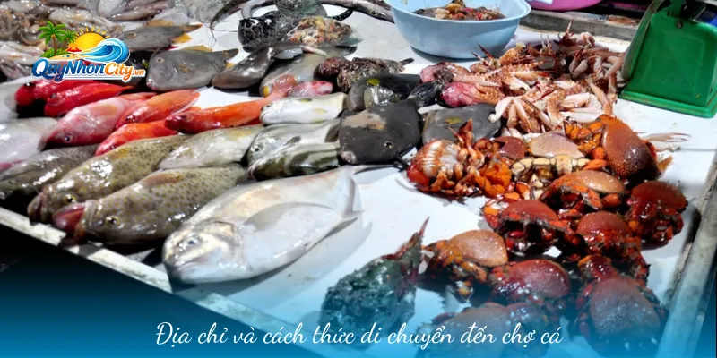 Chợ Cá Hàm Tử Quy Nhơn – Trải Nghiệm Hải Sản Giá Gốc 1 Địa chỉ và cách thức di chuyển đến chợ cá