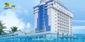 hải âu Quy Nhơn