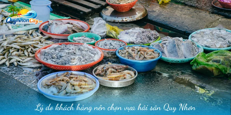 Vựa Hải Sản Quy Nhơn – Tọa Độ Đặt Trọn Niềm Tin Của Tín Đồ Ẩm Thực 1 Lý do khách hàng nên chọn vựa hải sản Quy Nhơn
