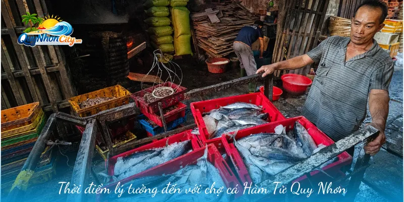 Chợ Cá Hàm Tử Quy Nhơn – Trải Nghiệm Hải Sản Giá Gốc 2 Thời điểm lý tưởng đến với chợ cá Hàm Tử Quy Nhơn