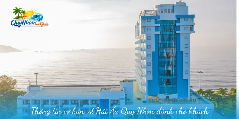 Hải Âu Quy Nhơn – Khách Sạn Tiện Nghi Gần Biển Cho Du Khách 1 Thông tin cơ bản về Hải Âu Quy Nhơn dành cho khách tham quan