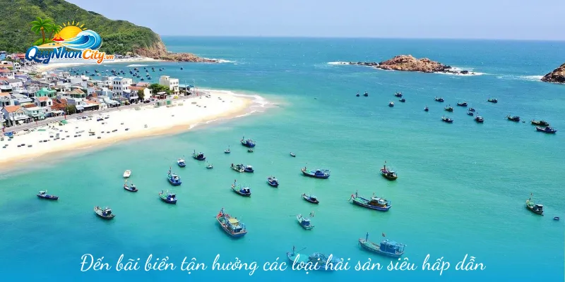 Biển Hải Giang Bình Định - Cảnh Đẹp Mê Lòng Người 2 Đến bãi biển tận hưởng các loại hải sản siêu hấp dẫn