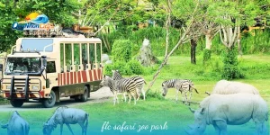 FLC Safari ZOO PARK