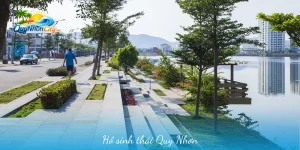 Hồ Sinh Thái Quy Nhơn