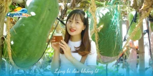làng bí đao khổng lồ