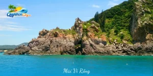 Mũi Vi Rồng