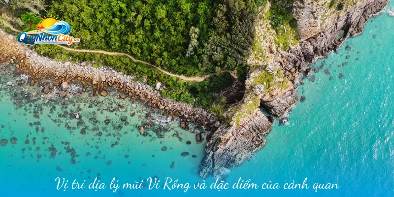 Mũi Vi Rồng Khám Phá Thắng Cảnh Ven Biển Bình Định 1 Vị trí địa lý mũi Vi Rồng và đặc điểm của cảnh quan